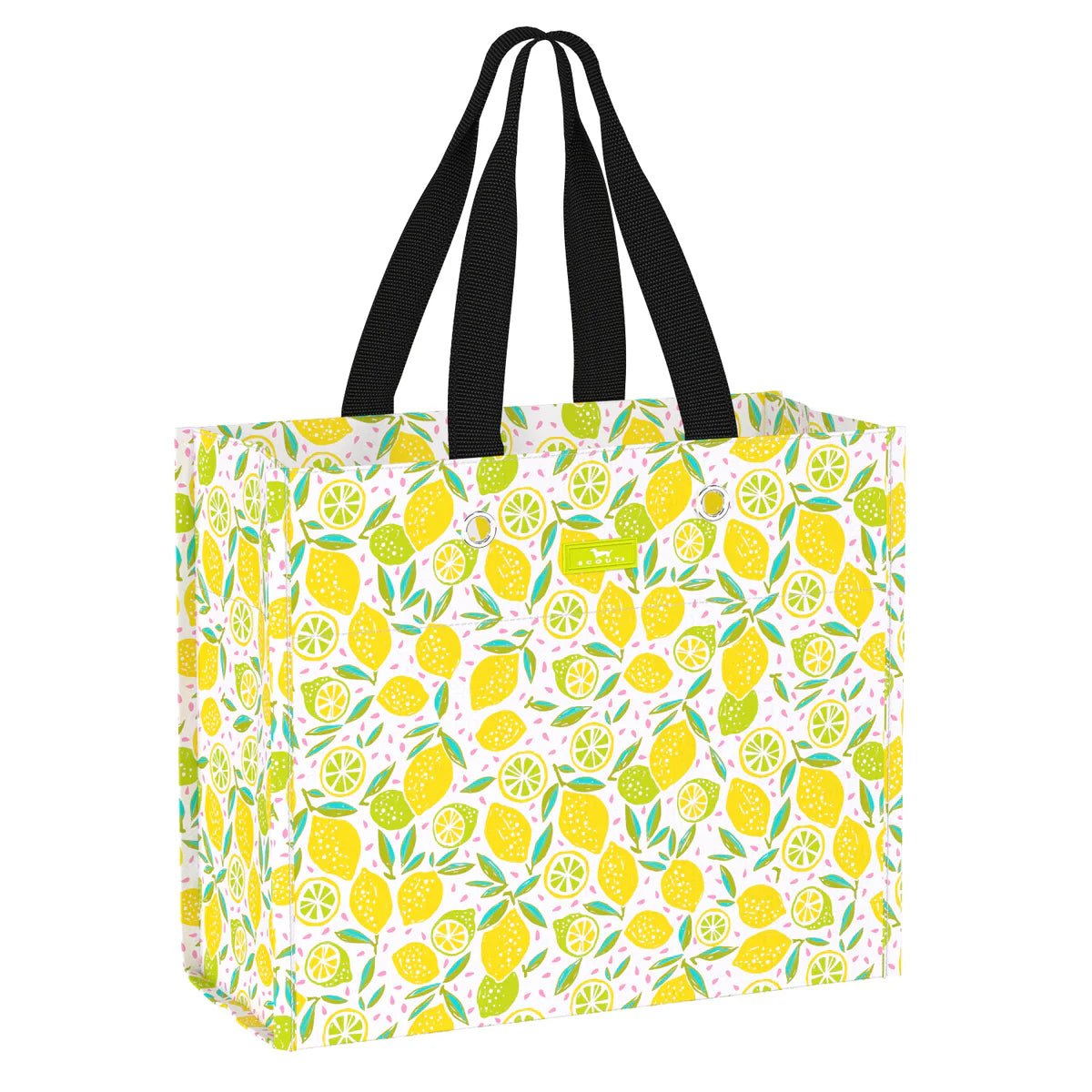 Scout lemons large package