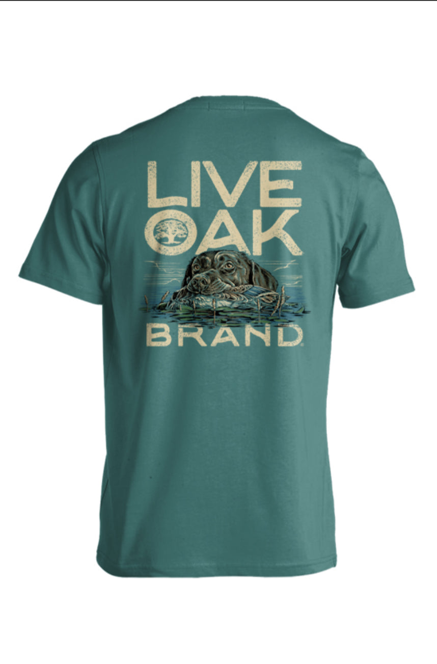Live oak lake dog