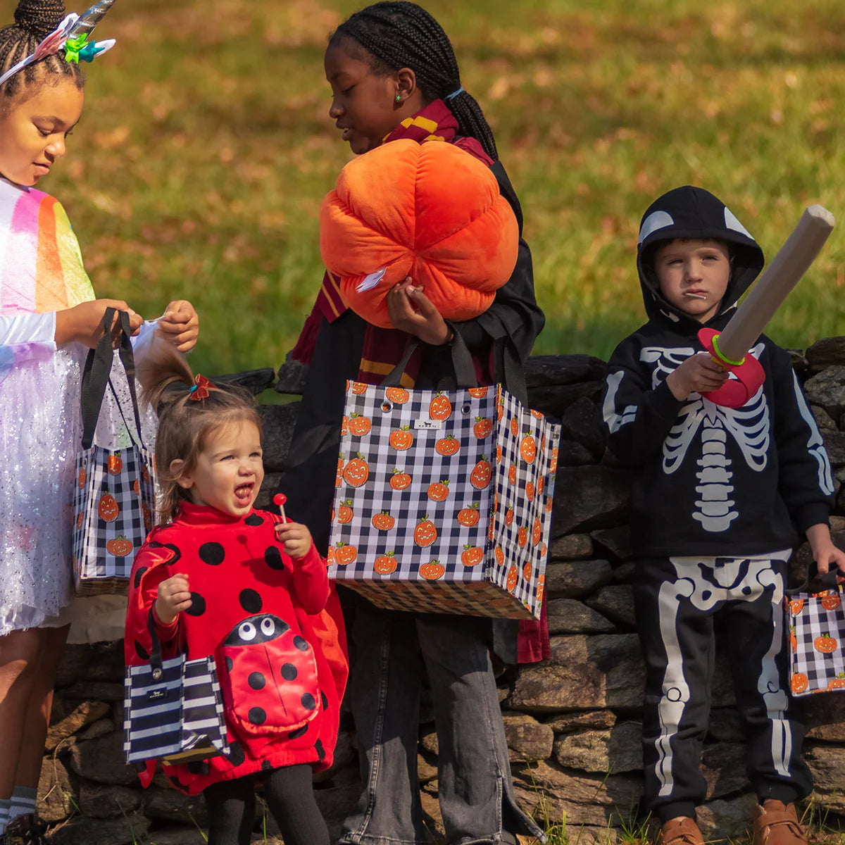 Scout midi falling for you or pumpkins